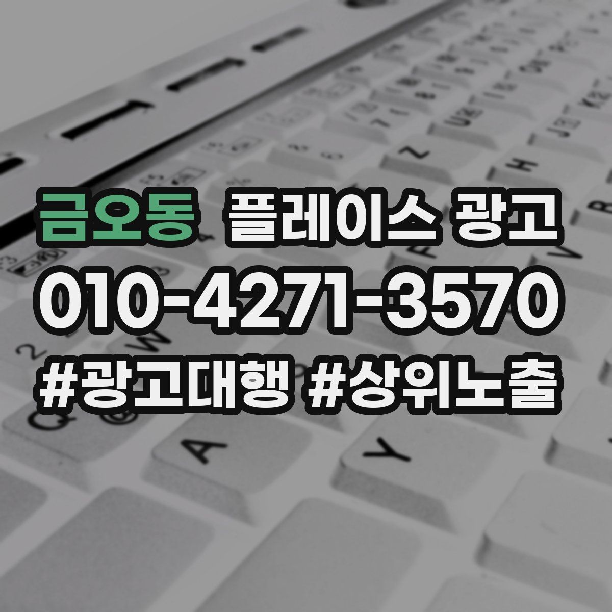 금오동 플레이스 광고