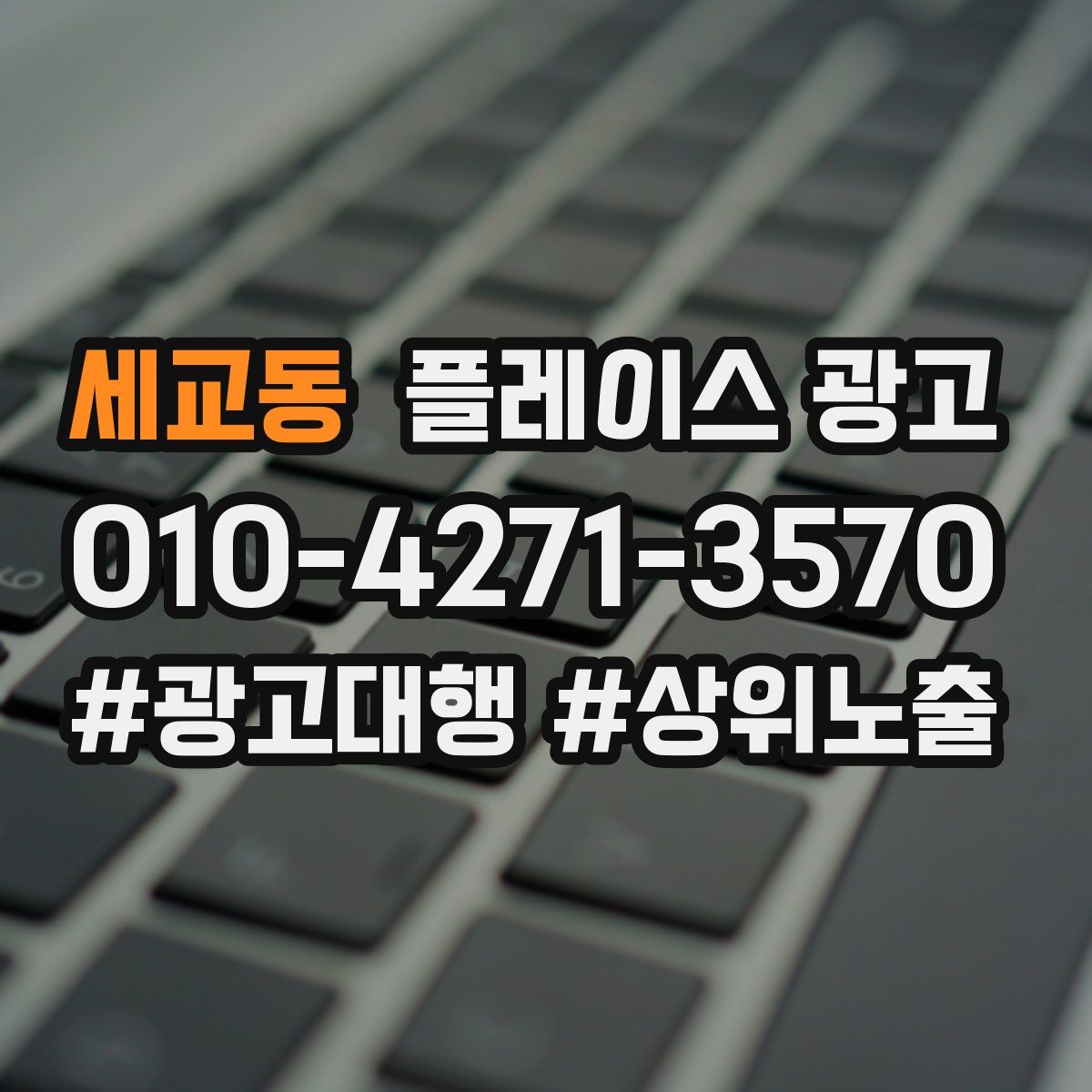 세교동 플레이스 광고