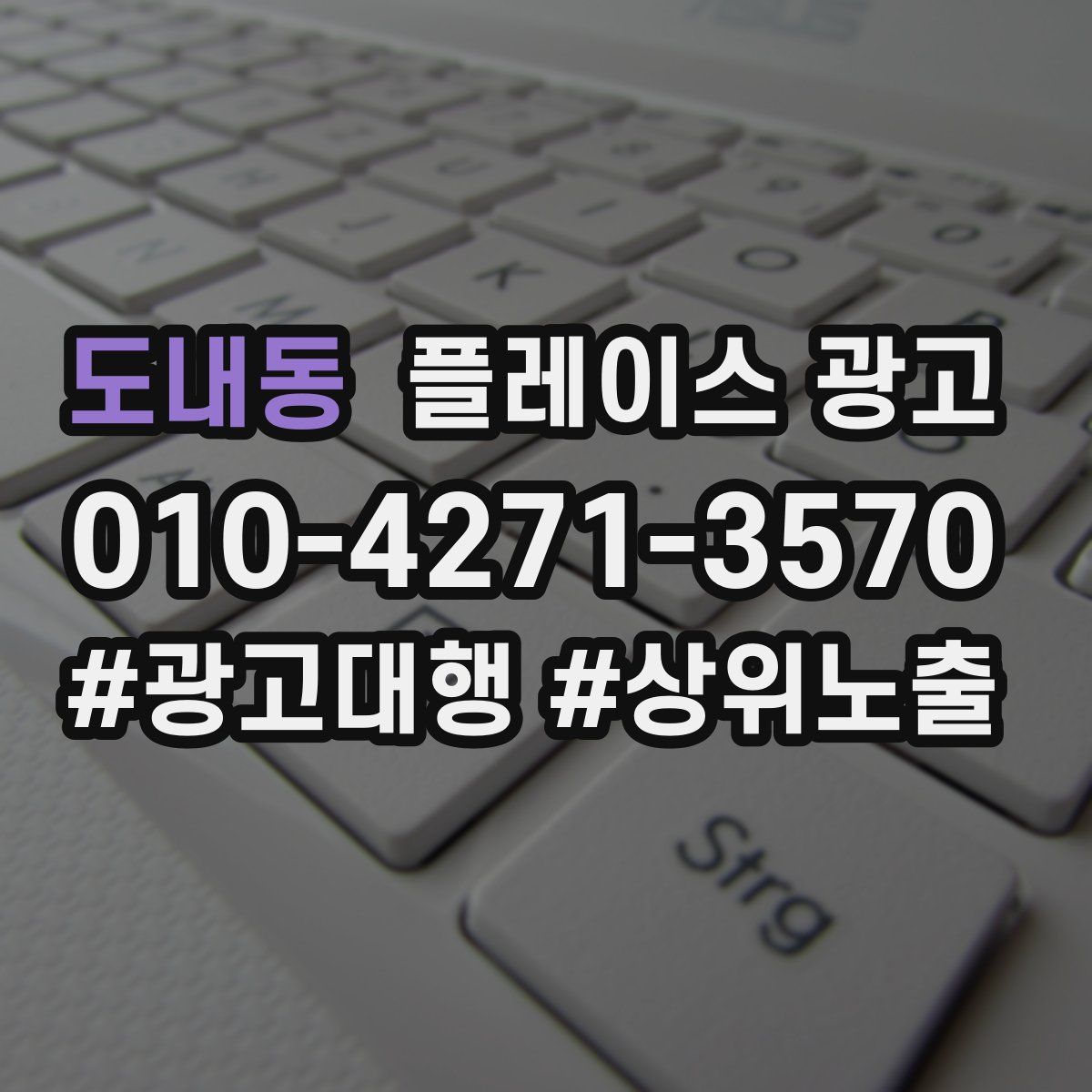 도내동 플레이스 광고
