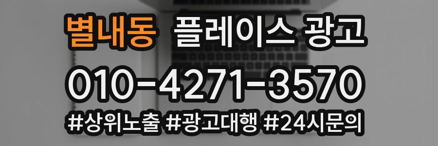 별내동 플레이스 광고