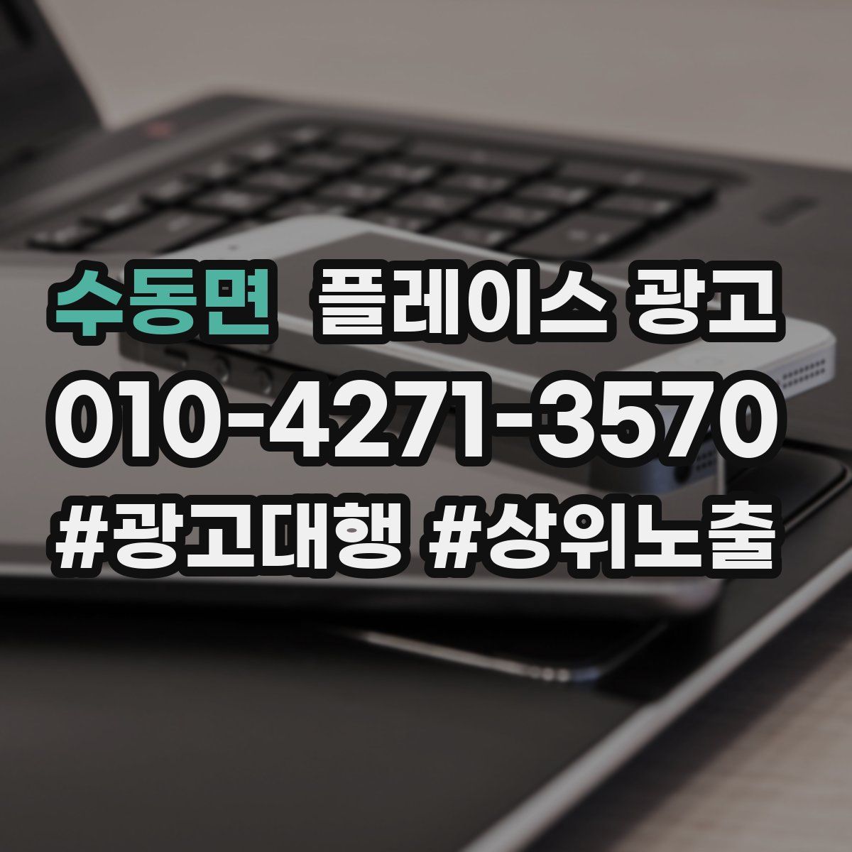 수동면 플레이스 광고
