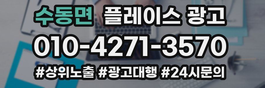 수동면 플레이스 광고