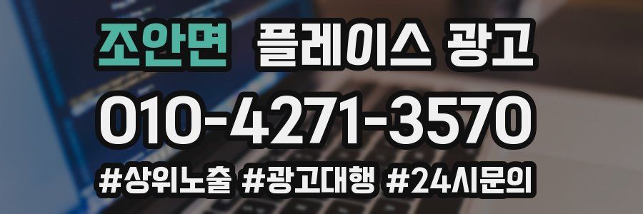 조안면 플레이스 광고