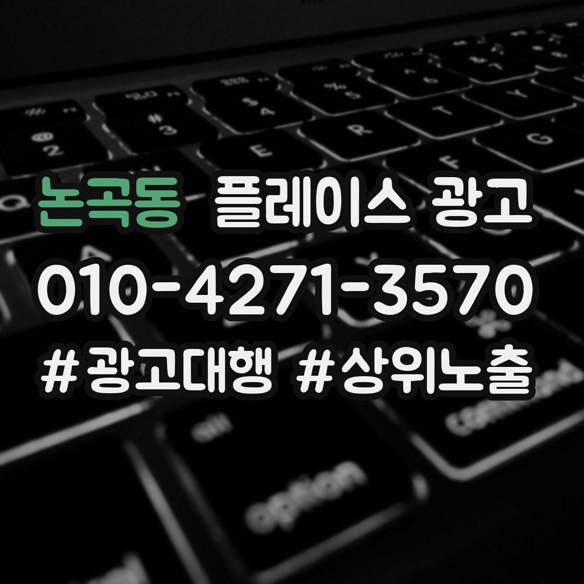 논곡동 플레이스 광고 광고비 대비 매출을 추정하는 방법
