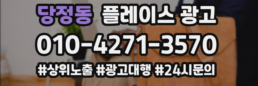 당정동 플레이스 광고