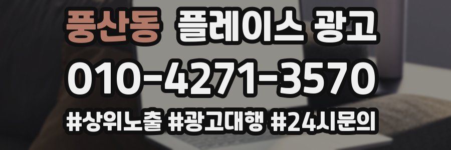 풍산동 플레이스 광고