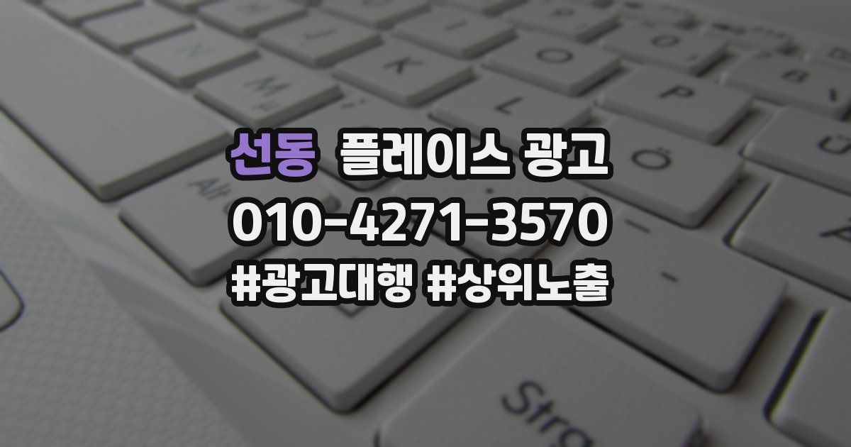 선동 플레이스 광고