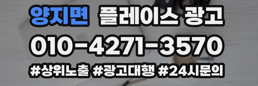양지면 플레이스 광고