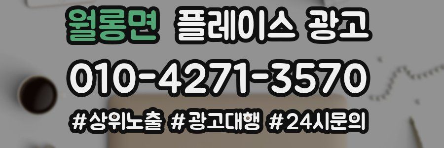 월롱면 플레이스 광고