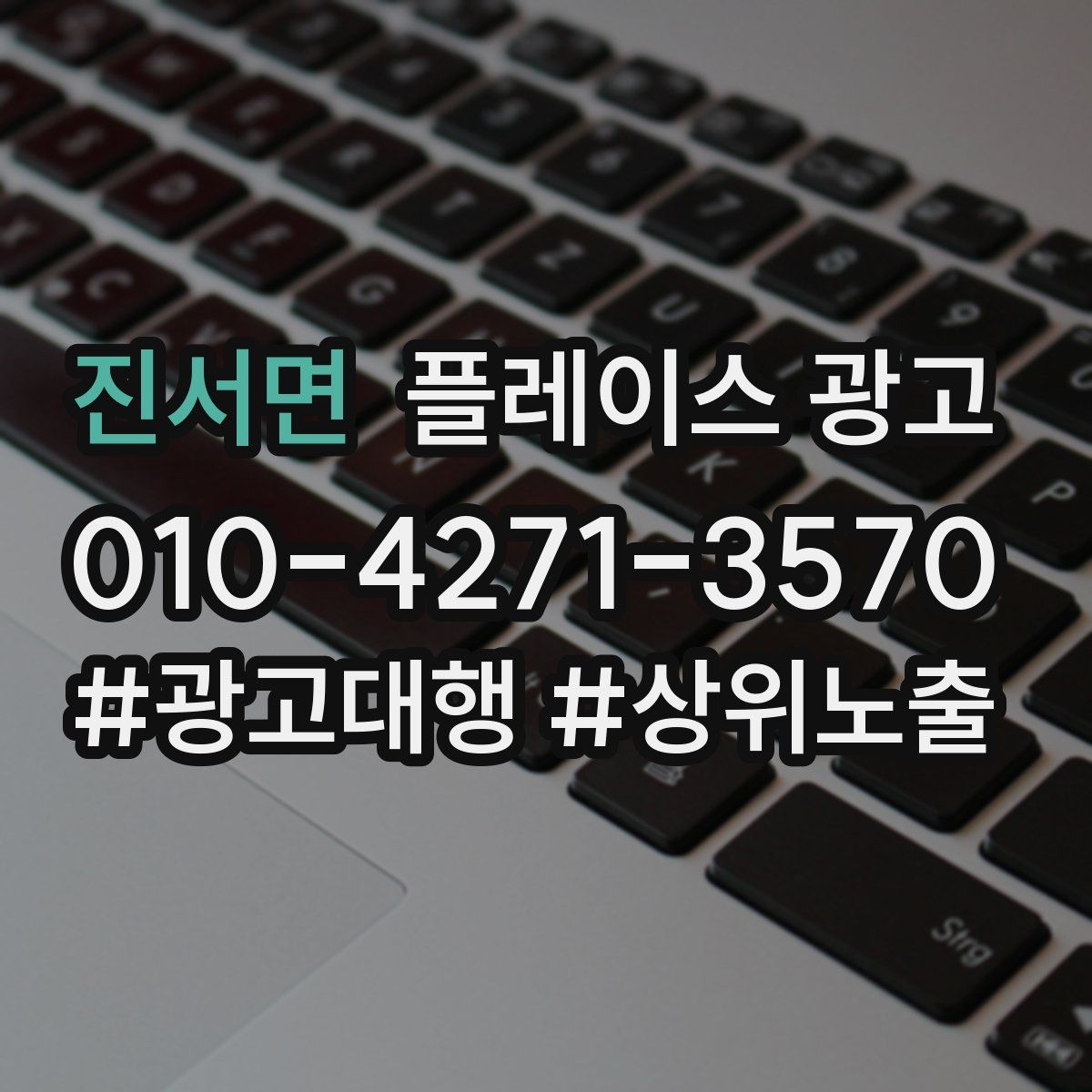 진서면 플레이스 광고