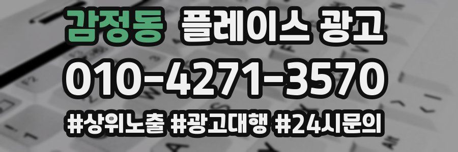 감정동 플레이스 광고