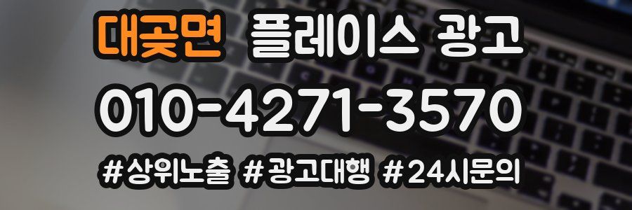 대곶면 플레이스 광고