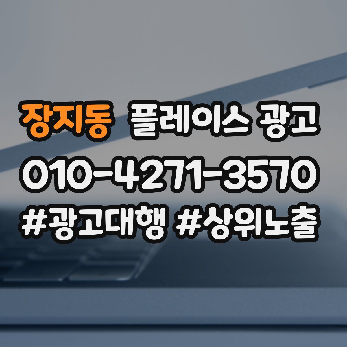 장지동 플레이스 광고