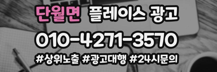 단월면 플레이스 광고