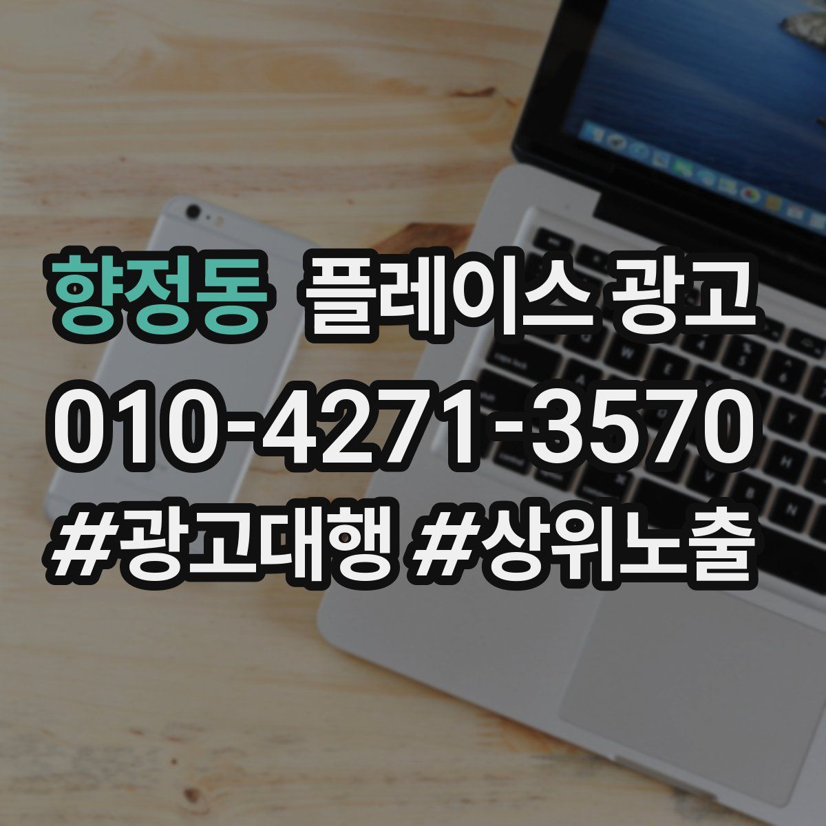 향정동 플레이스 광고