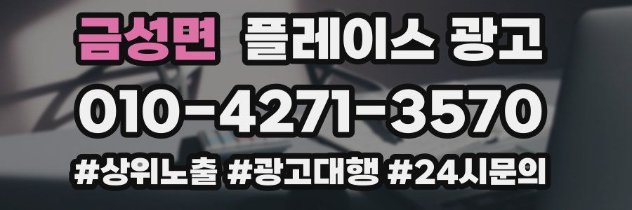 금성면 플레이스 광고