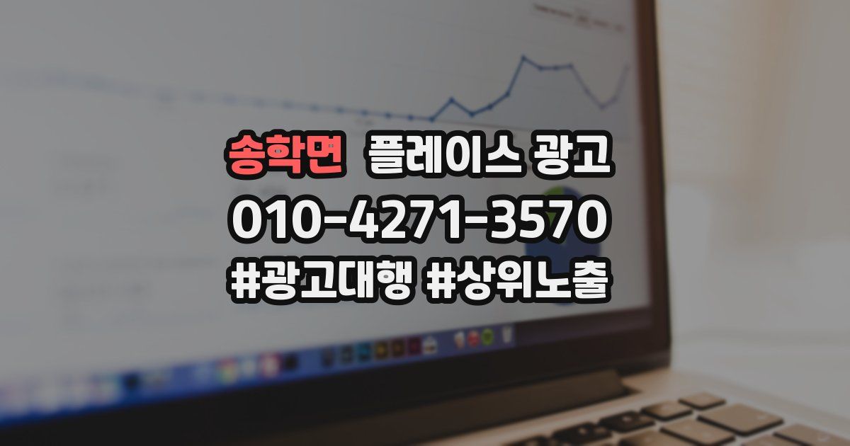 송학면 플레이스 광고