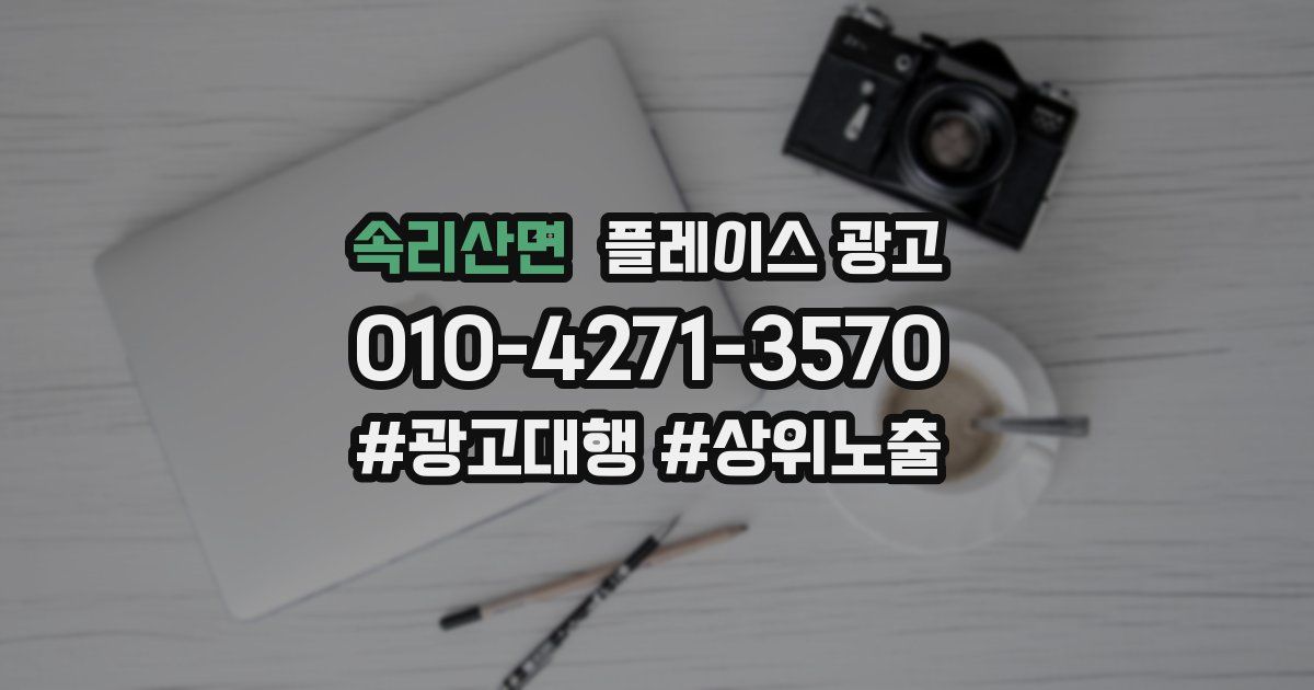 속리산면 플레이스 광고