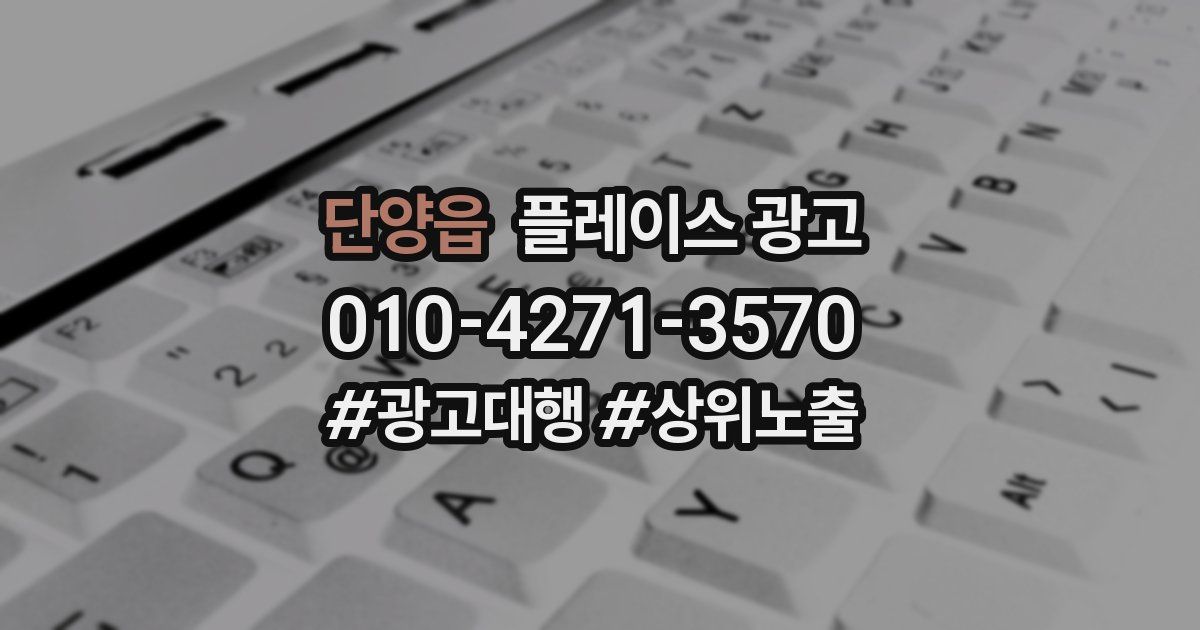 단양읍 플레이스 광고