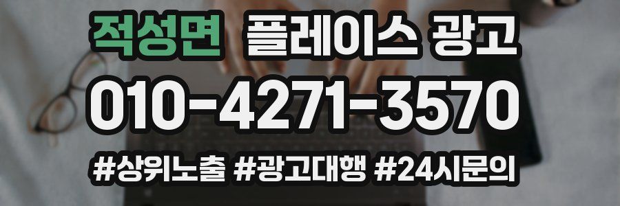 적성면 플레이스 광고
