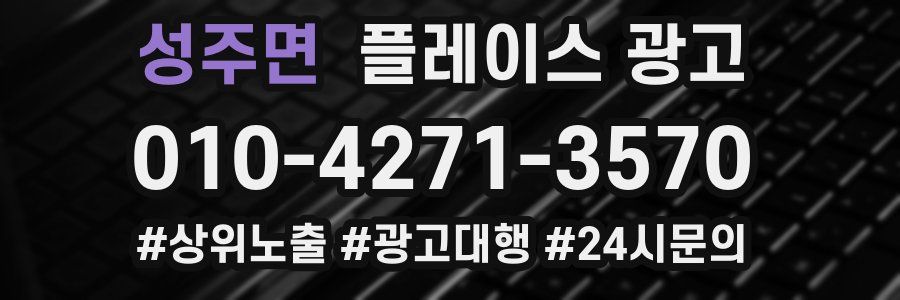 성주면 플레이스 광고