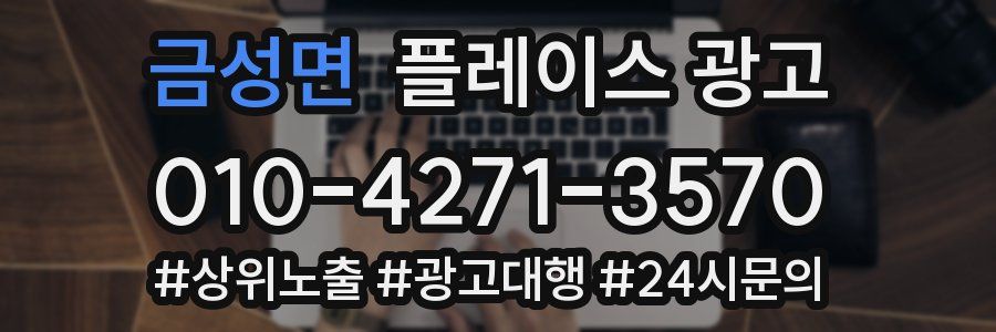 금성면 플레이스 광고