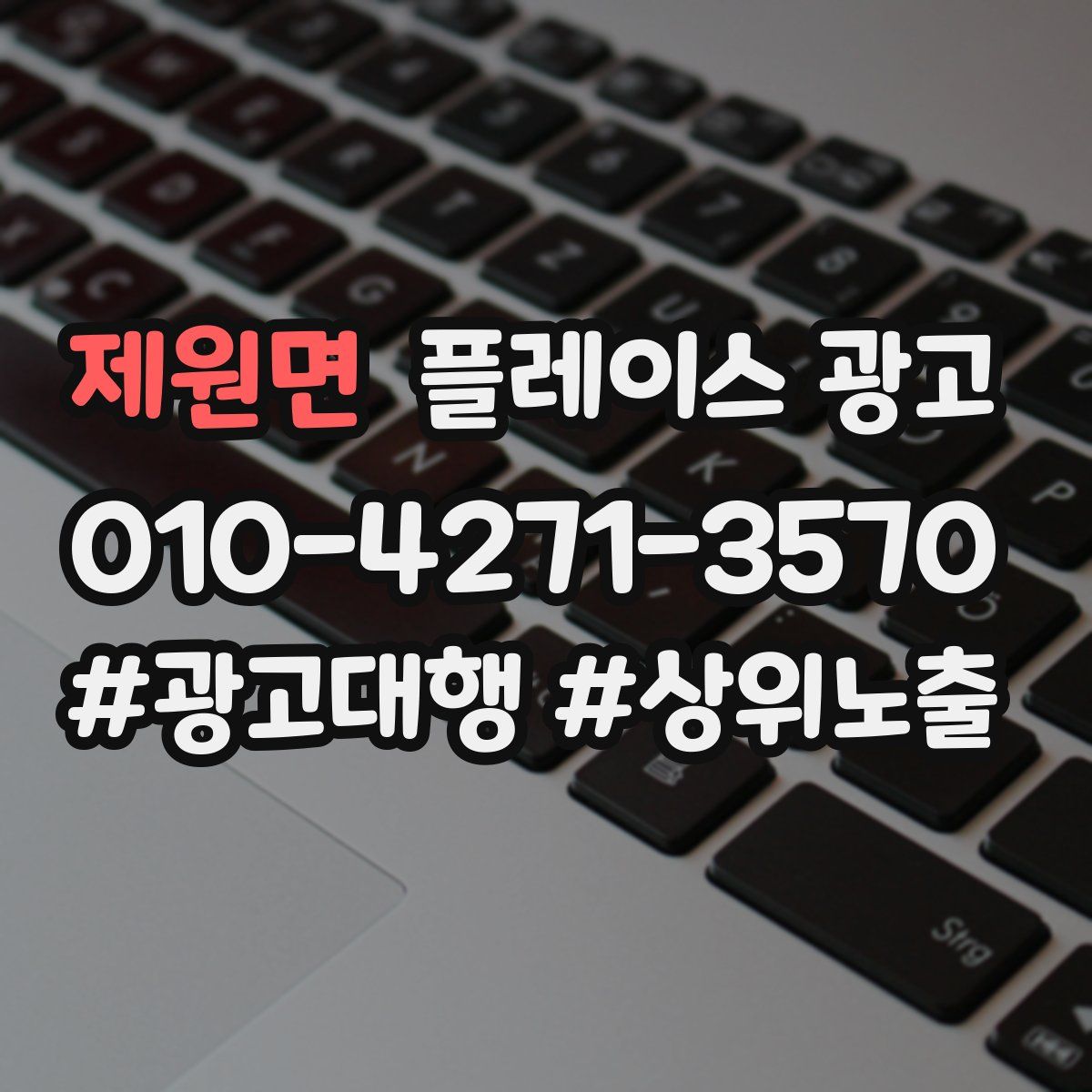 제원면 플레이스 광고