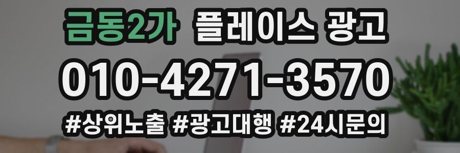 금동2가 플레이스 광고