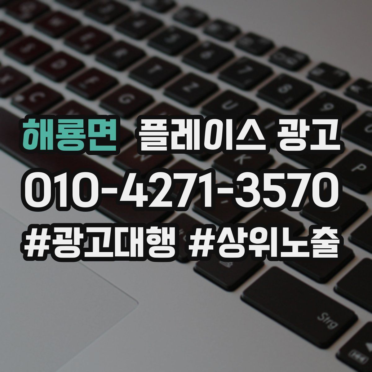 해룡면 플레이스 광고