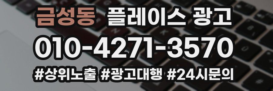 금성동 플레이스 광고