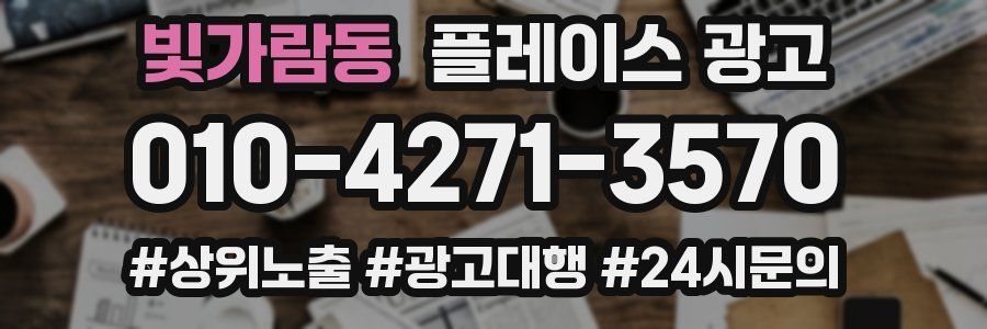 빛가람동 플레이스 광고