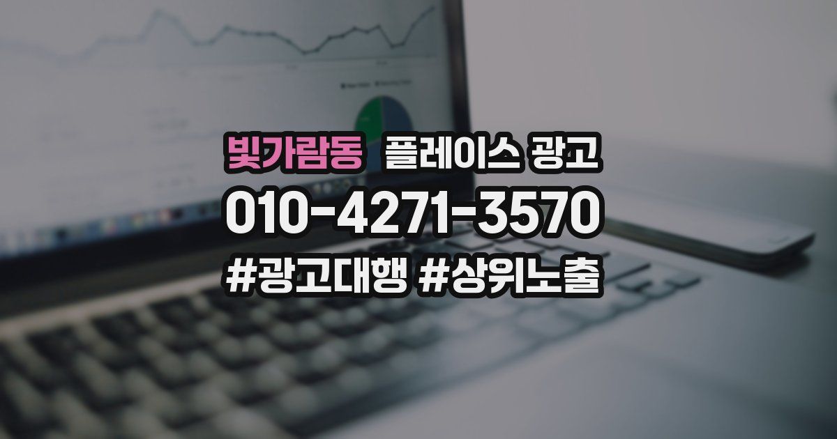 빛가람동 플레이스 광고
