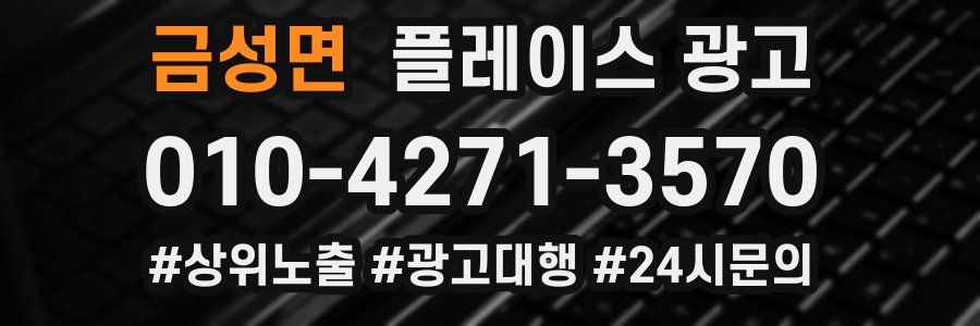 금성면 플레이스 광고
