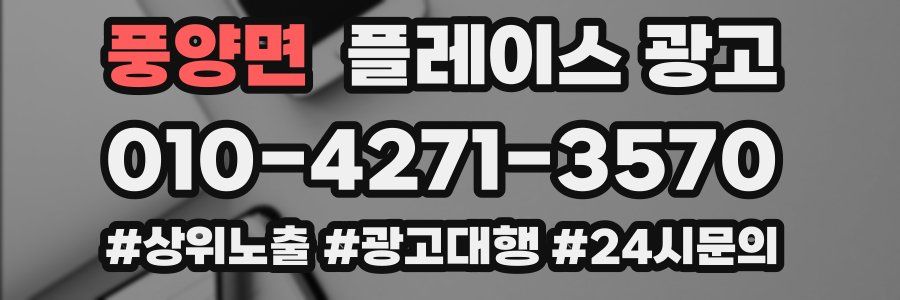 풍양면 플레이스 광고