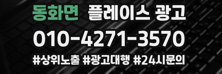 동화면 플레이스 광고