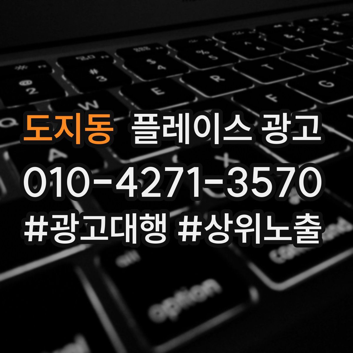 도지동 플레이스 광고