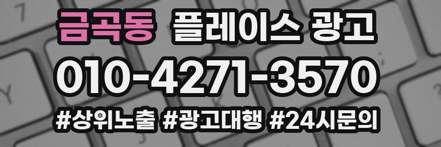 금곡동 플레이스 광고
