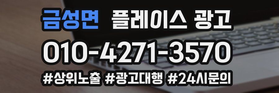 금성면 플레이스 광고