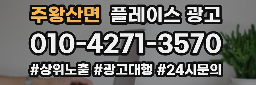 주왕산면 플레이스 광고