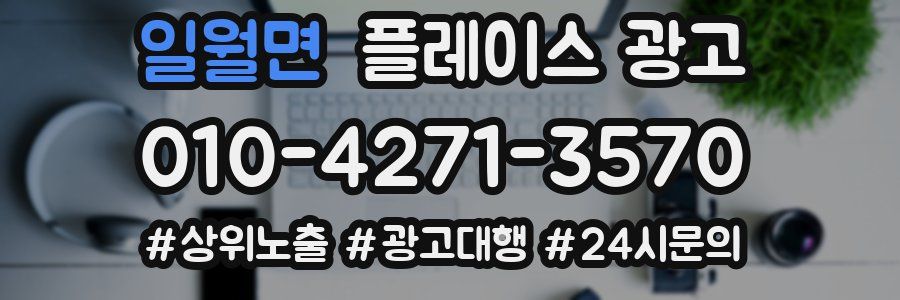 일월면 플레이스 광고
