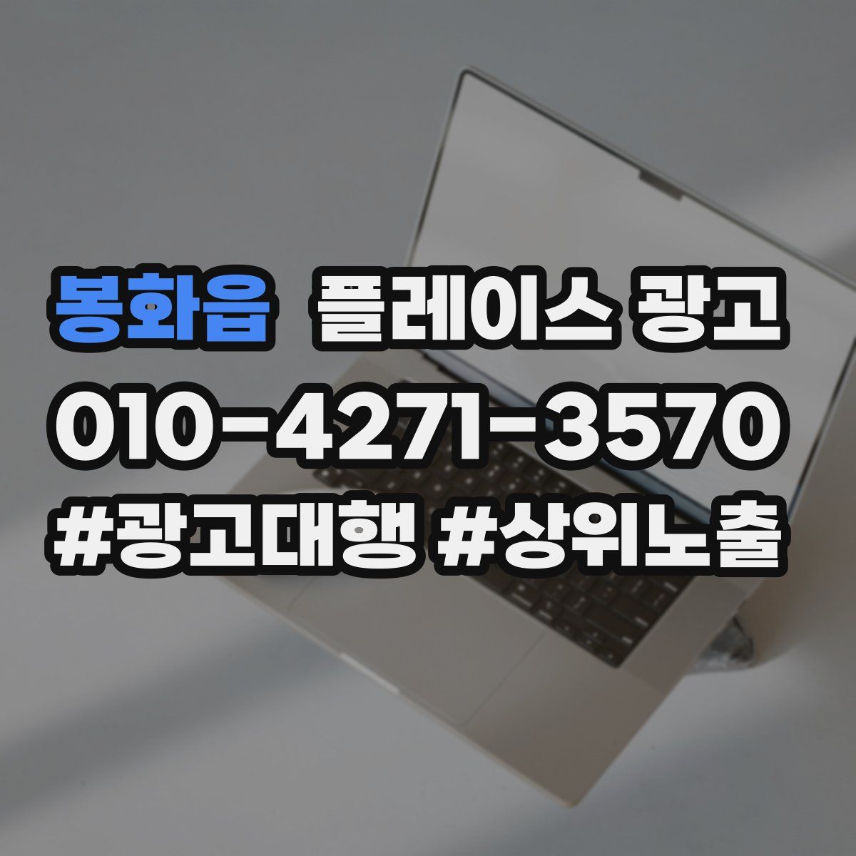 봉화읍 플레이스 광고