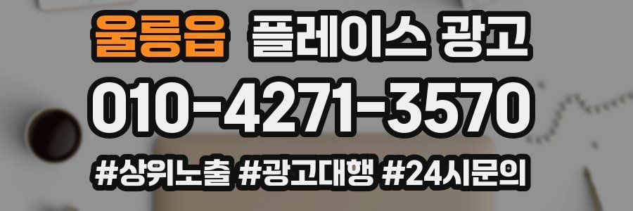 울릉읍 플레이스 광고