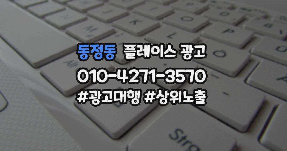 동정동 플레이스 광고