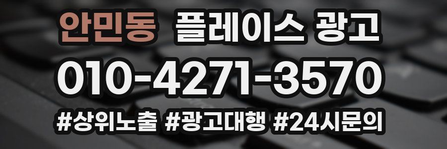 안민동 플레이스 광고
