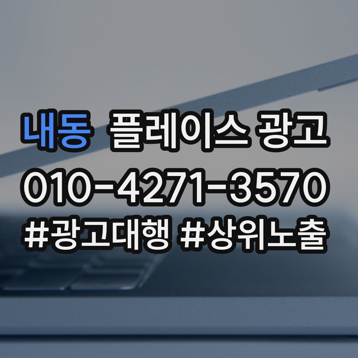 내동 플레이스 광고