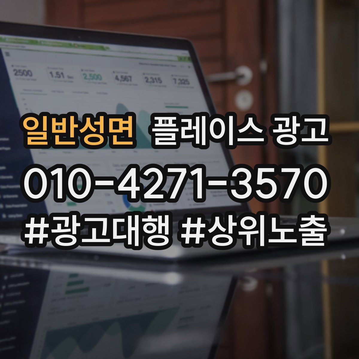 일반성면 플레이스 광고