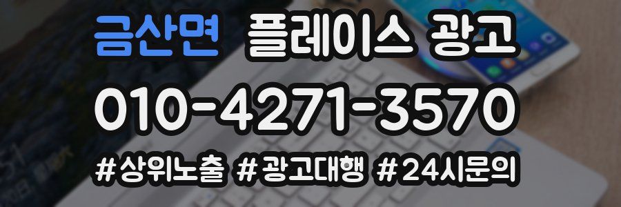 금산면 플레이스 광고