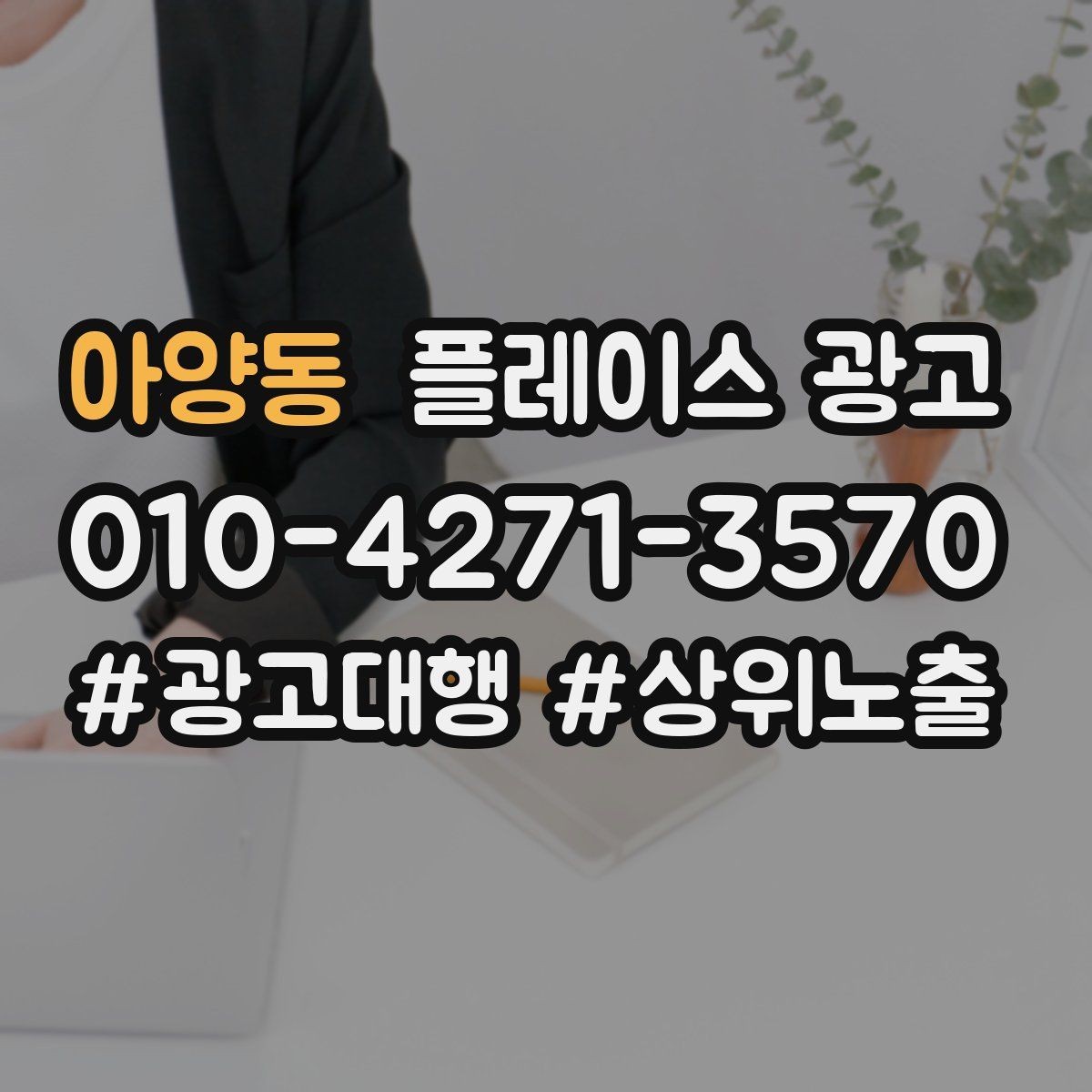 아양동 플레이스 광고 가격 검색에 대응하는 정보 배치