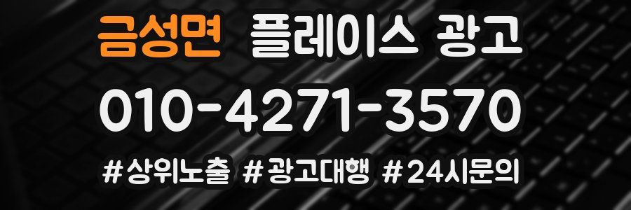 금성면 플레이스 광고