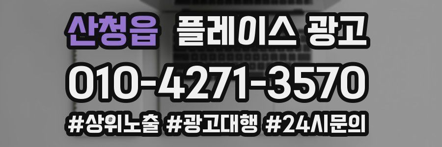 산청읍 플레이스 광고